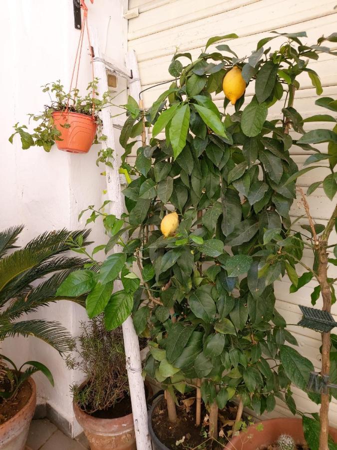 Daria'S Home Apartament باليرمو المظهر الخارجي الصورة