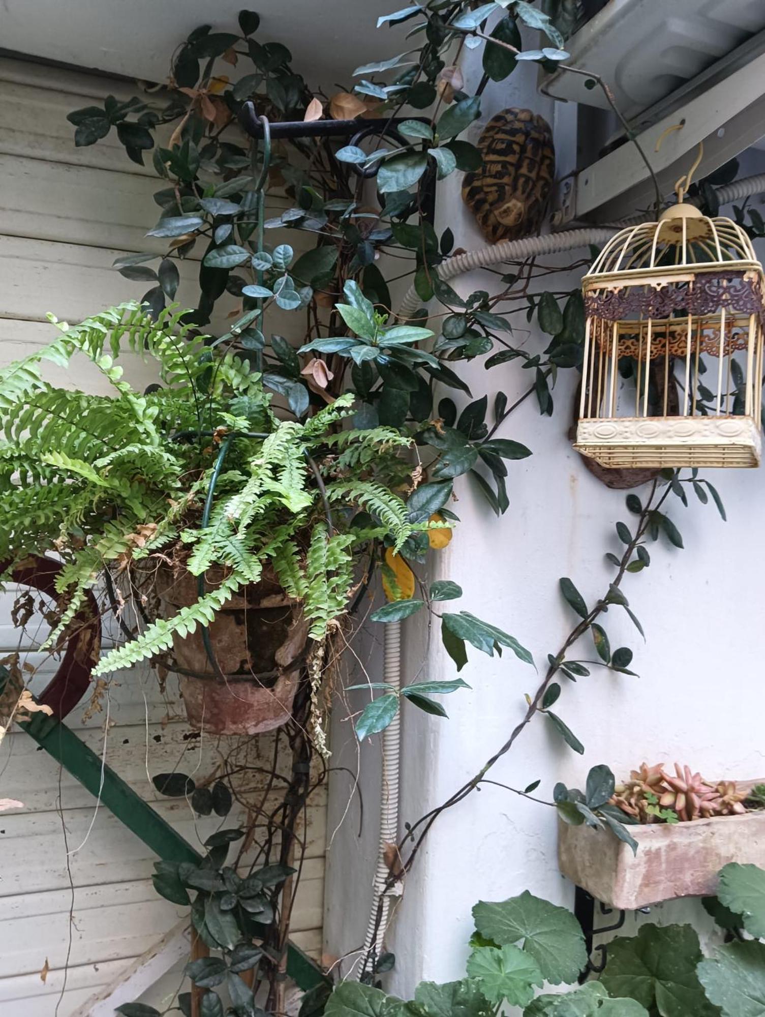 Daria'S Home Apartament باليرمو المظهر الخارجي الصورة