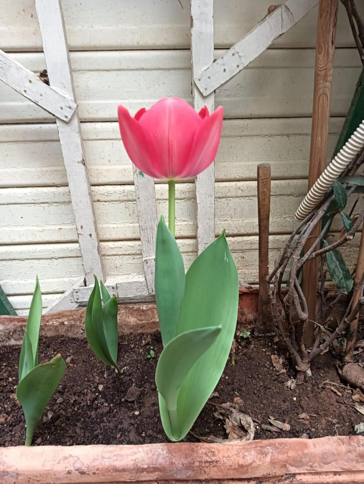 Daria'S Home Apartament باليرمو المظهر الخارجي الصورة